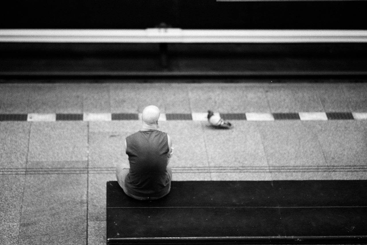 A man sitting on a platform bench, seen from behind, with a pigeon walking near the platform edge.