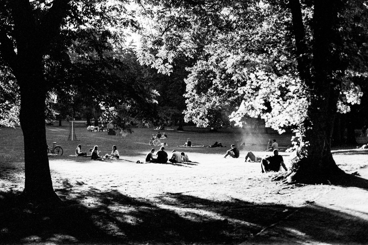 Small groups of people sitting on a sunlit lawn beneath large trees.