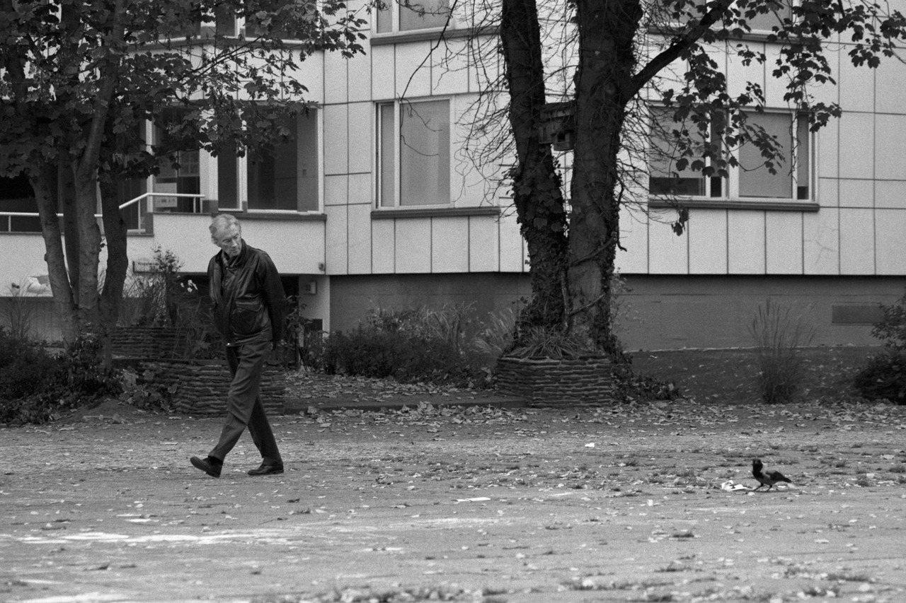A man walking across a leaf-covered square while a crow picks at the ground.